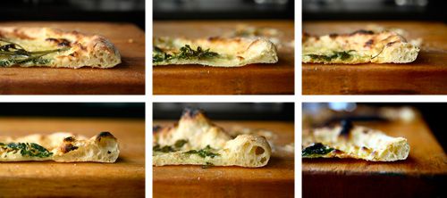 A six-image collage showing pizza crust which has undergone different types of fermentation.