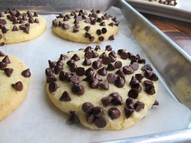 Closeup of Bakery Shortbread with Chocolate Chips, fresh from the oven.