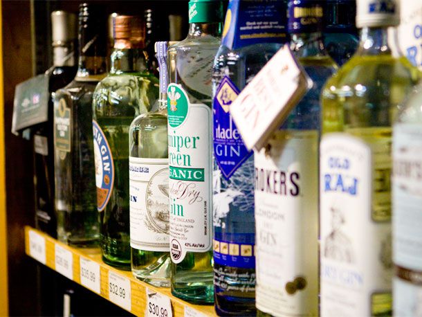 A shelf in a liquor store with an assortment of gins. 
