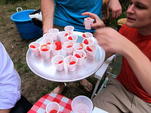 20100914-tomato-tasting-cups.jpg