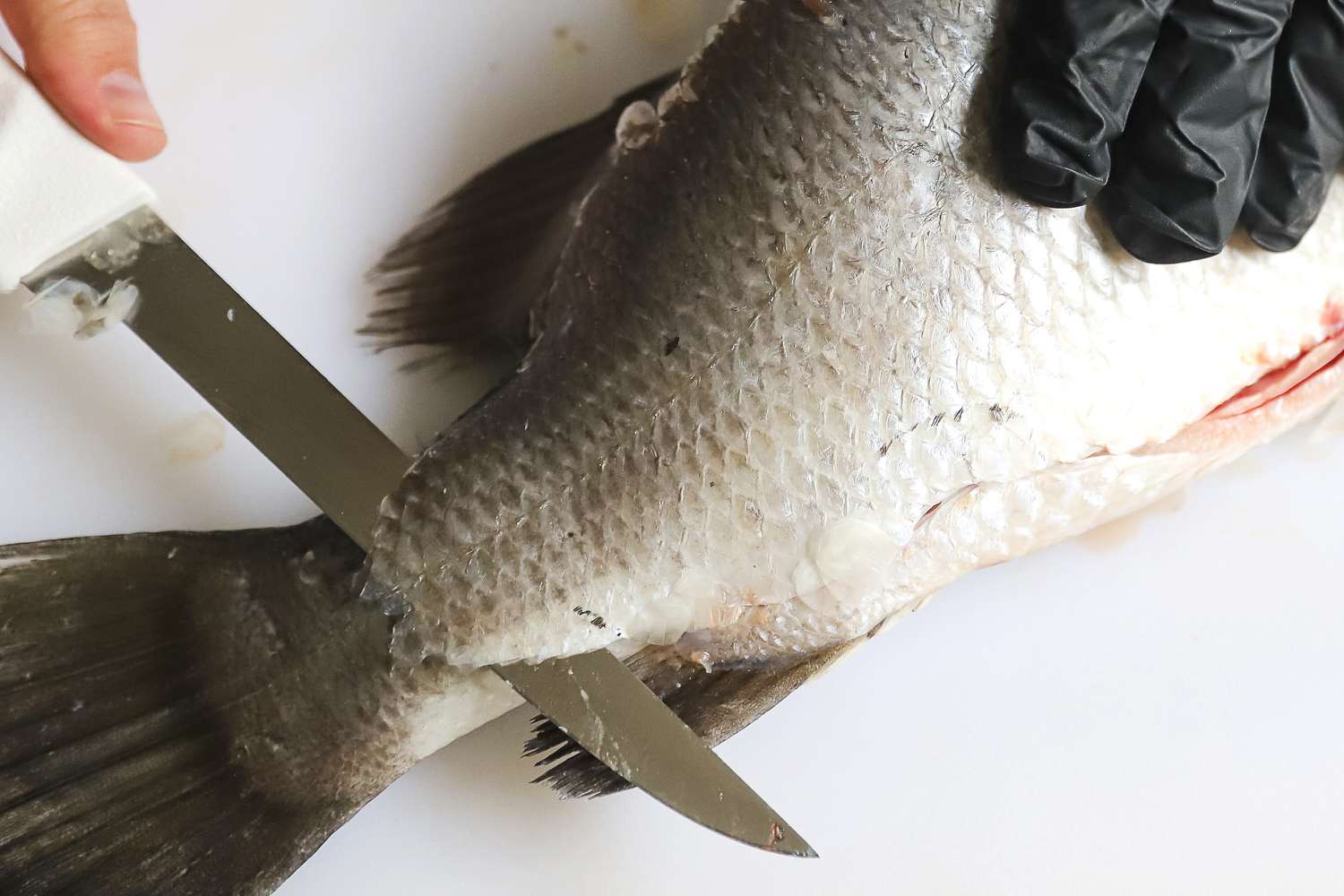 A fish being cleaned with a knife on a cutting surface