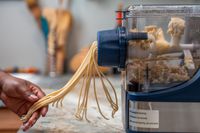 Vevor Electric Pasta Maker 
