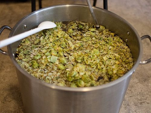 20101212-128376-Hops-Wort.jpg