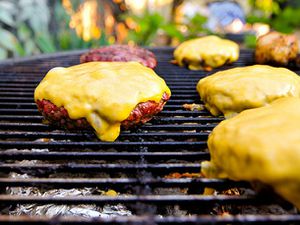 20110831-burger-grilling-primary.jpg