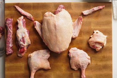 20200102-duck-Breakdown-31