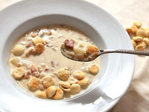 clam chowder
