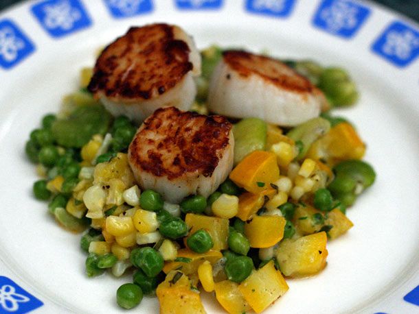 Scallops with Corn and Fava Bean Succotash