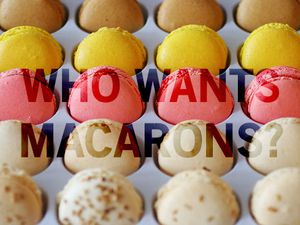 macarontray.jpg