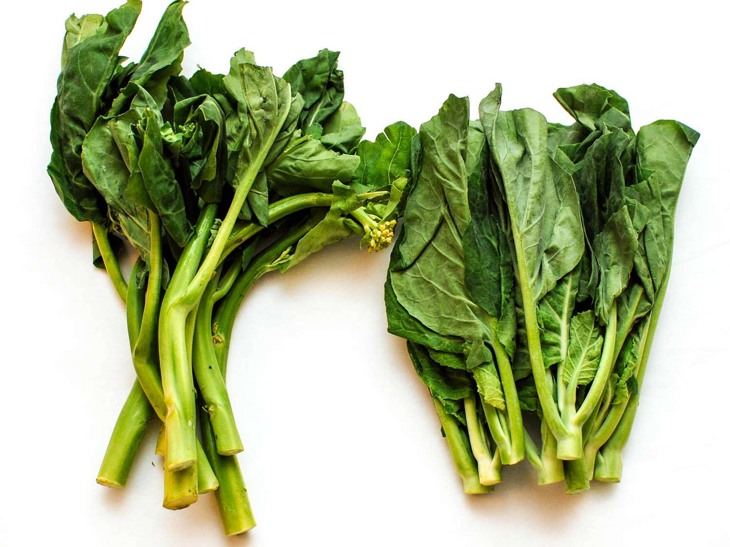 Two bunches of gai lan on a white surface. 