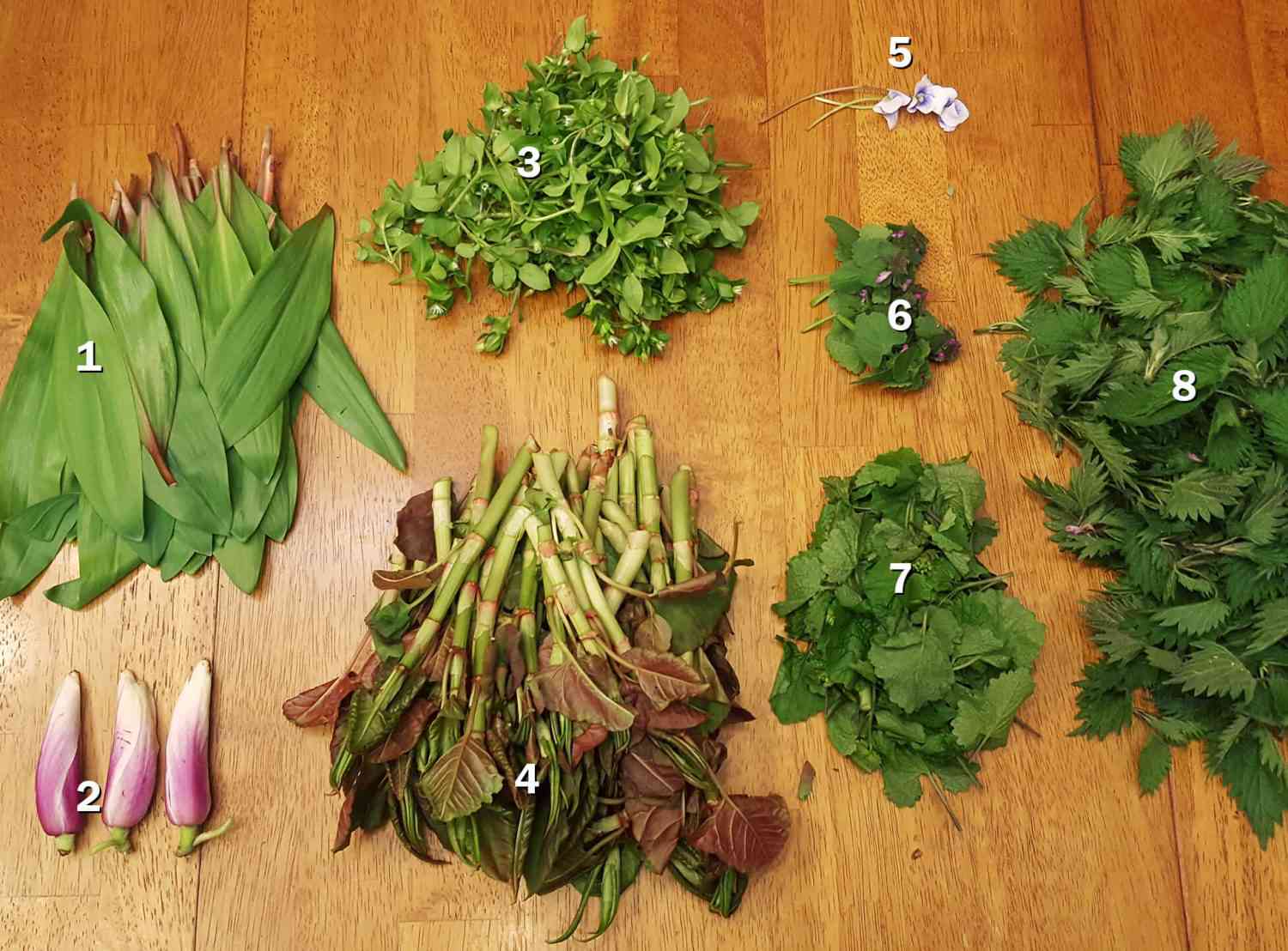 Assortment of foraged greens