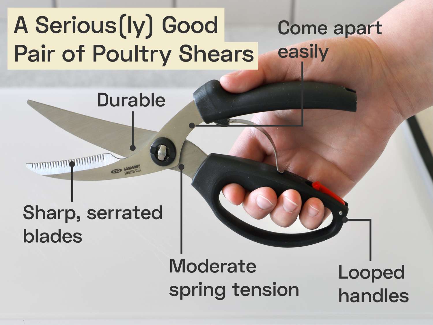 a seriously good pair of poultry shears is durable, comes apart easily, has sharp, serrated blades, moderate spring tension, and looped handles