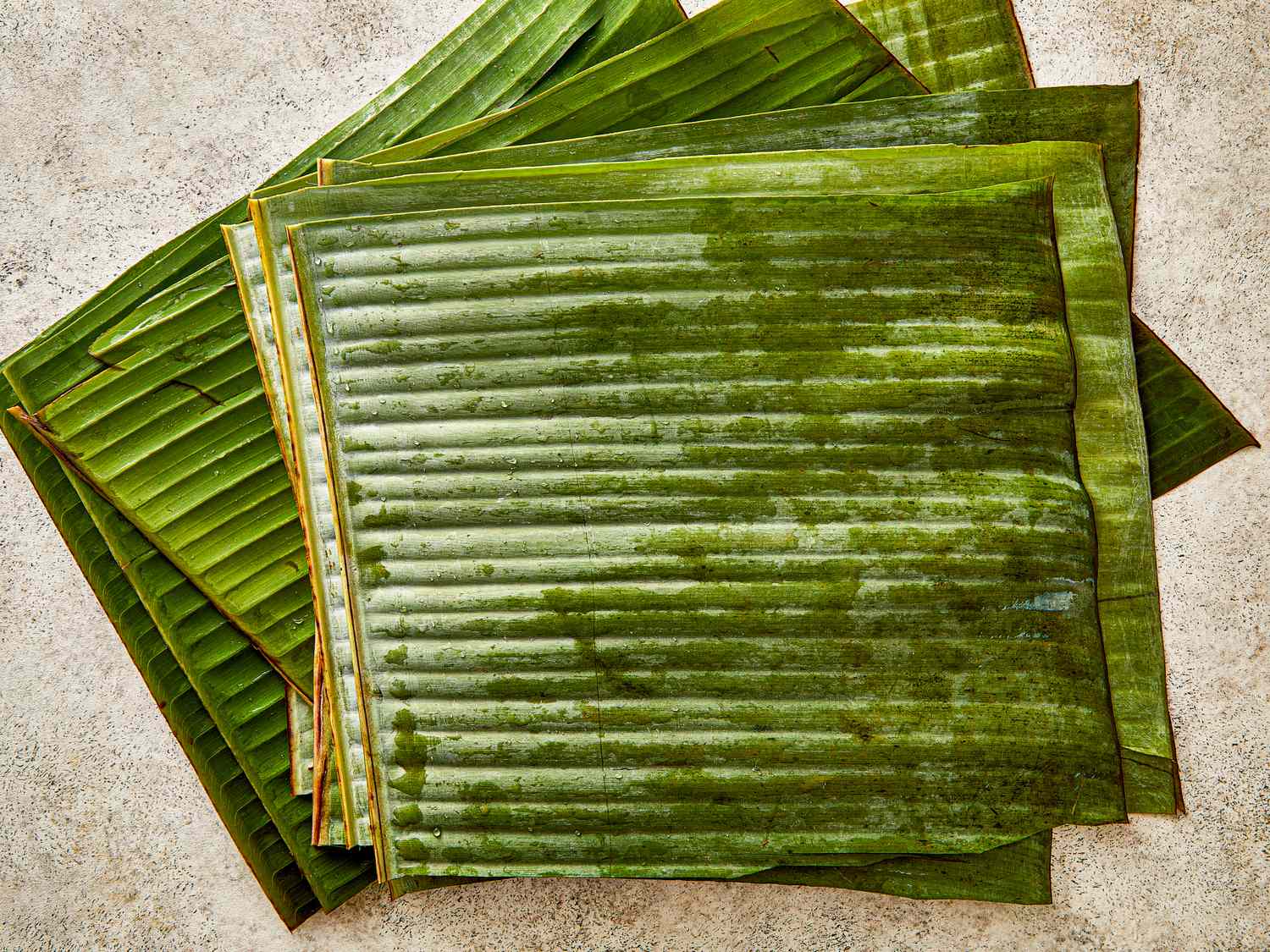 Banana leaves arranged in layers commonly used for wrapping and cooking foods like hallacas or tamales