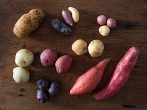 Overhead of time different varieties of potatoes in various colors and sizes.