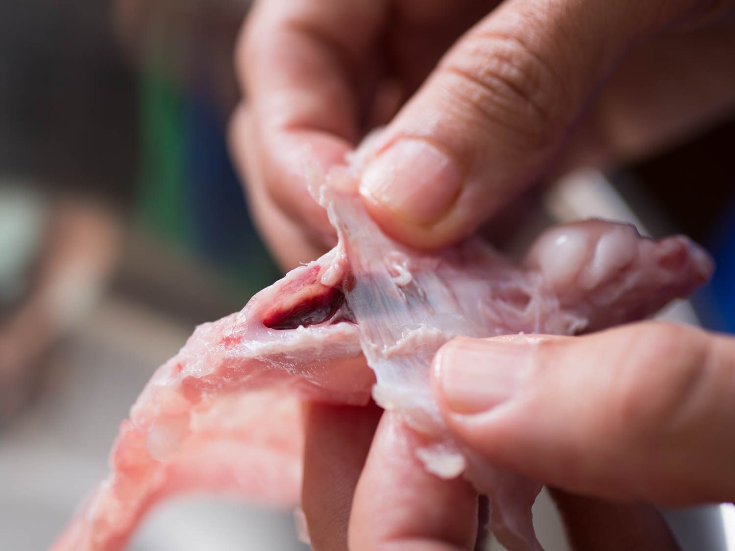 Removing the vein along the fish spine to get rid of blood traces. 