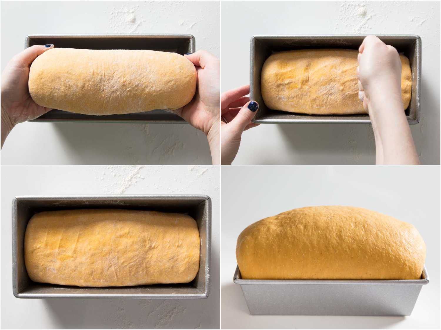A four photo collage showing placing a shaped log of pumpkin sandwich bread dough into a loaf pan, tamping it down, an overhead view of the loaf rising, and a side view of a well-risen loaf.