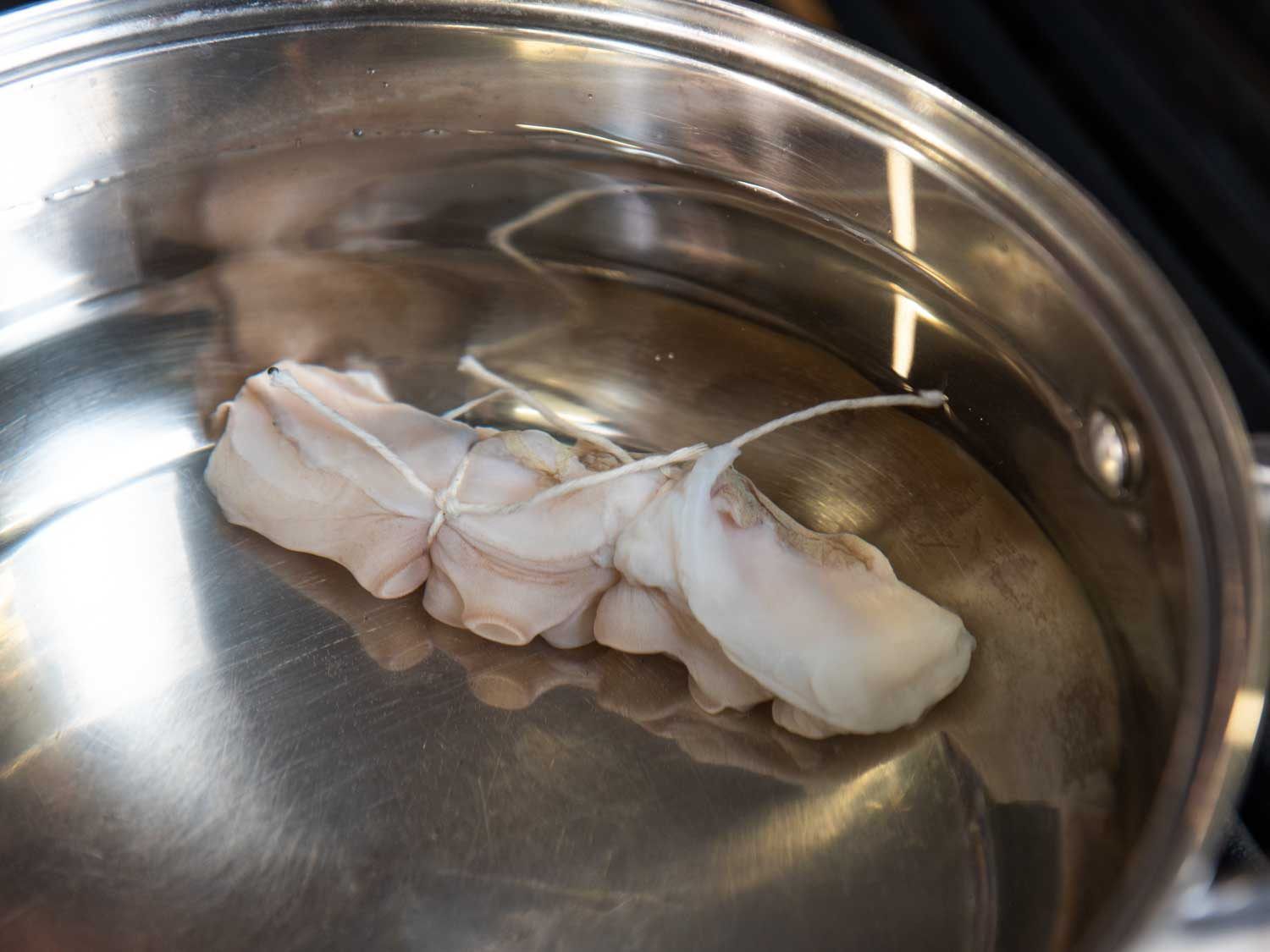 A raw octopus tentacle in a pot of cold water; the tentacle has strings tied on it, which were used to differentiate different testing variables in the same pot.