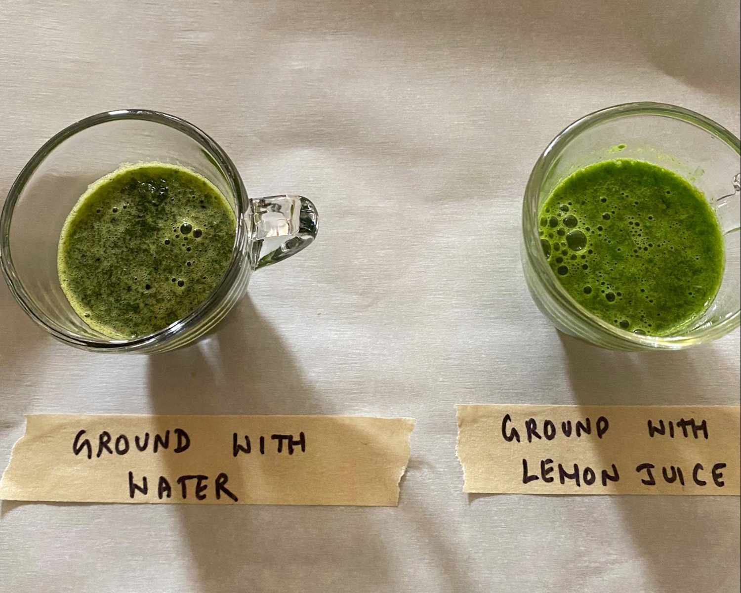 Two containers left labeled Ground with Water right labeled Ground with Lemon Juice contain green liquid from preparation
