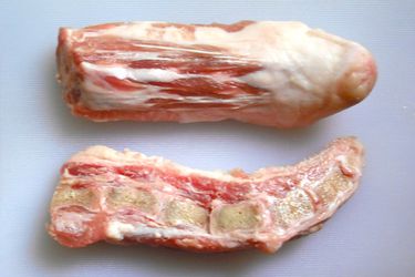 A raw pig's tail sliced in half to reveal its cross-section. 