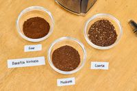 Beans ground using the different grind settings on the Baratza Virtuoso+ Conical Burr Coffee Grinder