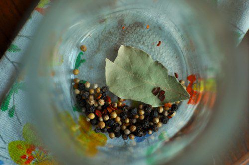 The interior of a clean mason jar holding spices.