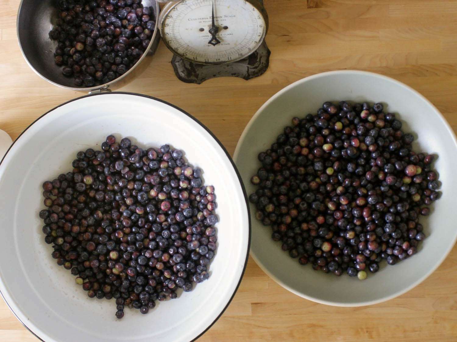 Three bowls holding washed blueberries.