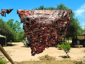 Beef 'pulpa' being hung to dry under intense summer sun 