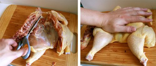 20100507-butterfy-chicken 3.5.jpg