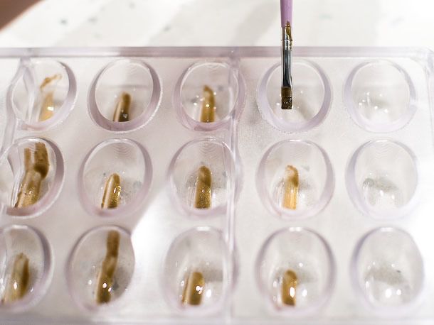 Using a fine paintbrush to brush a colored cocoa butter design onto the bonbon molds.