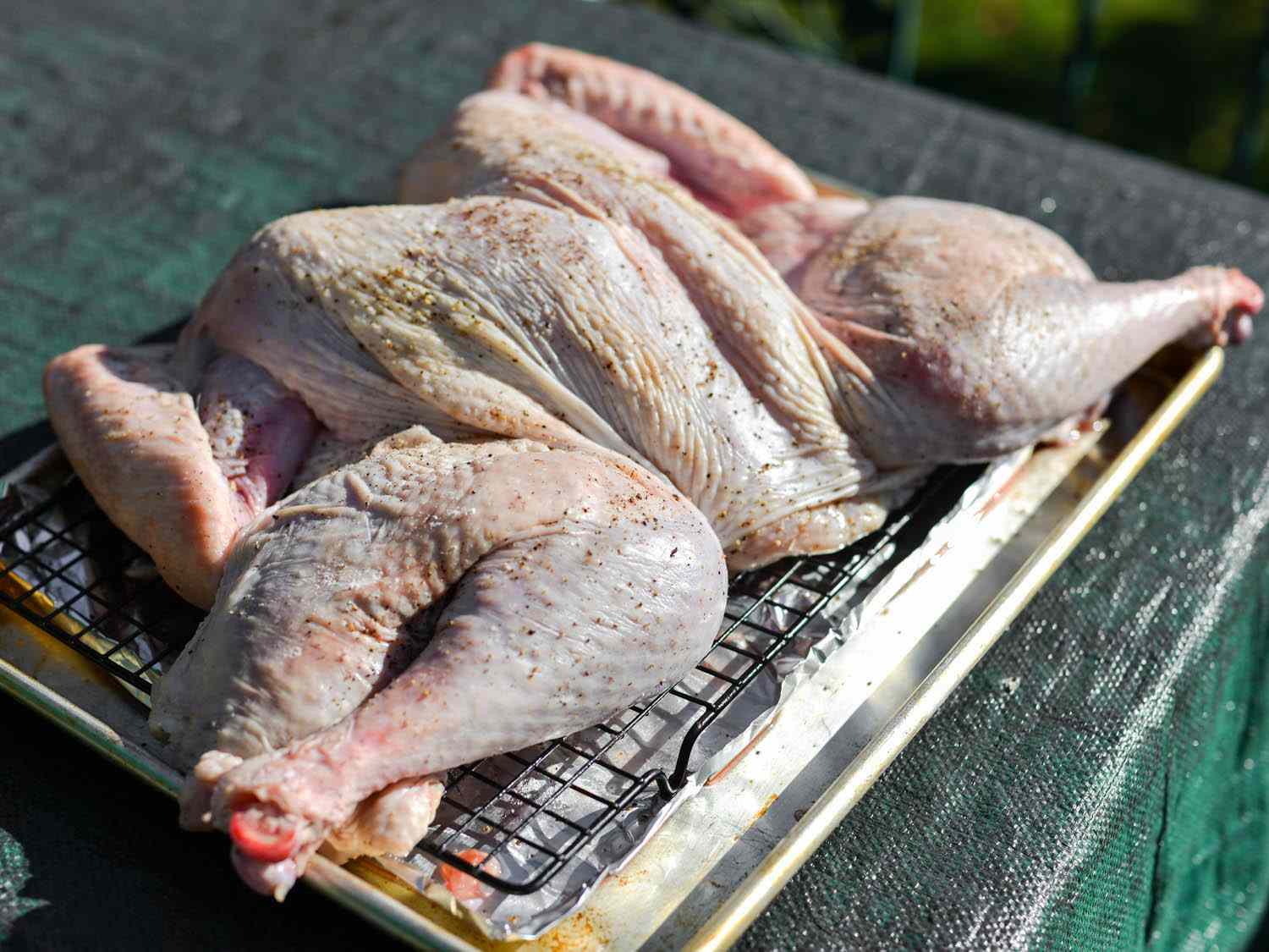 A turkey resting on a wire rack on a rimmed baking sheet. 