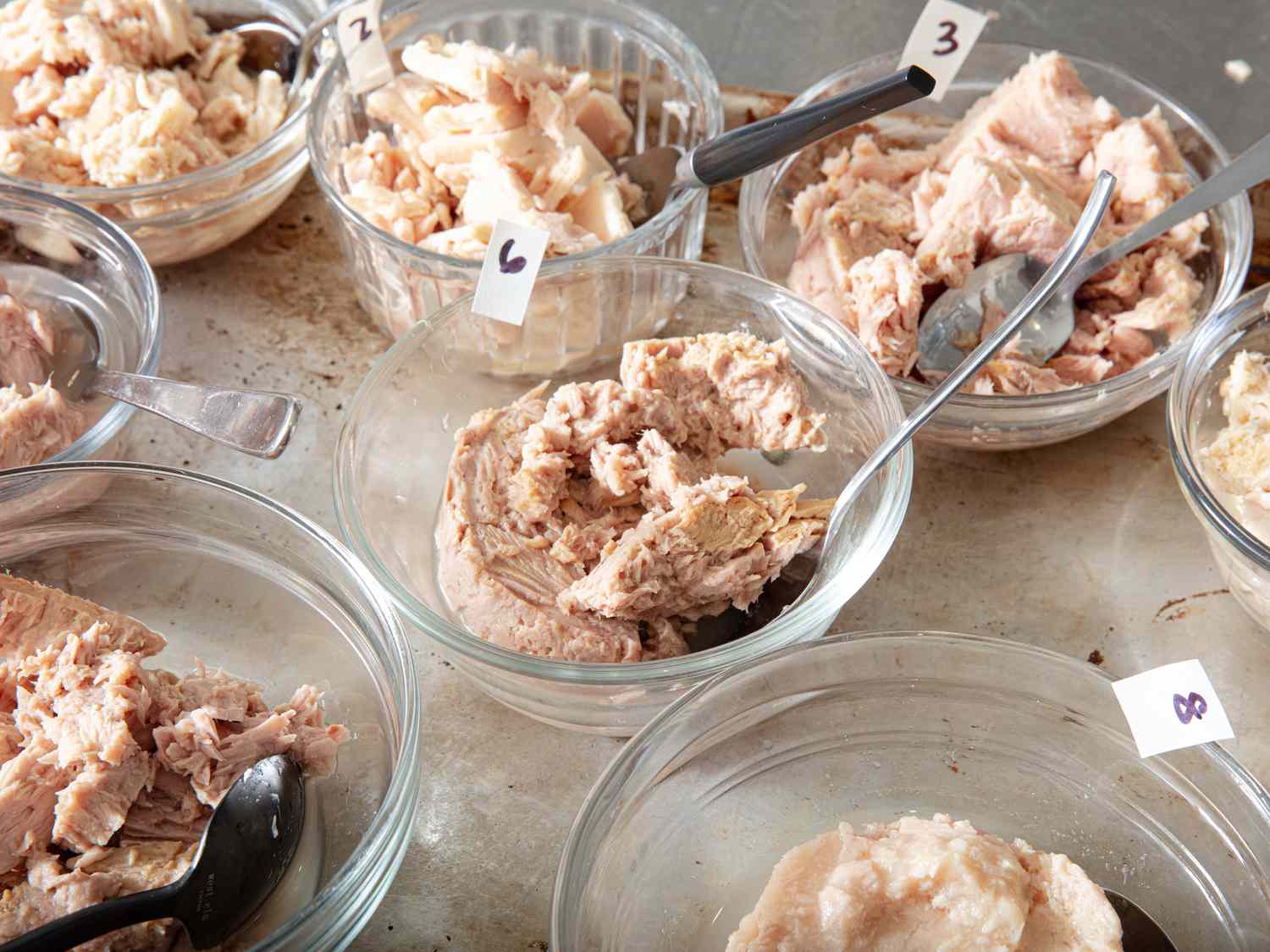Many types of tuna in water in small bowls side by side on a sheet pan 