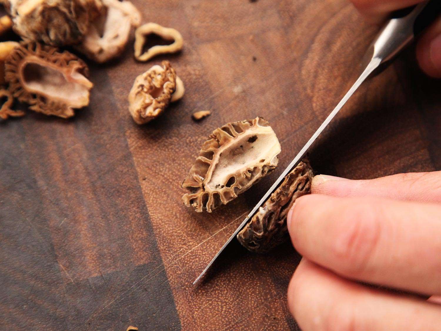 Slicing a morel mushroom in half lengthwise.