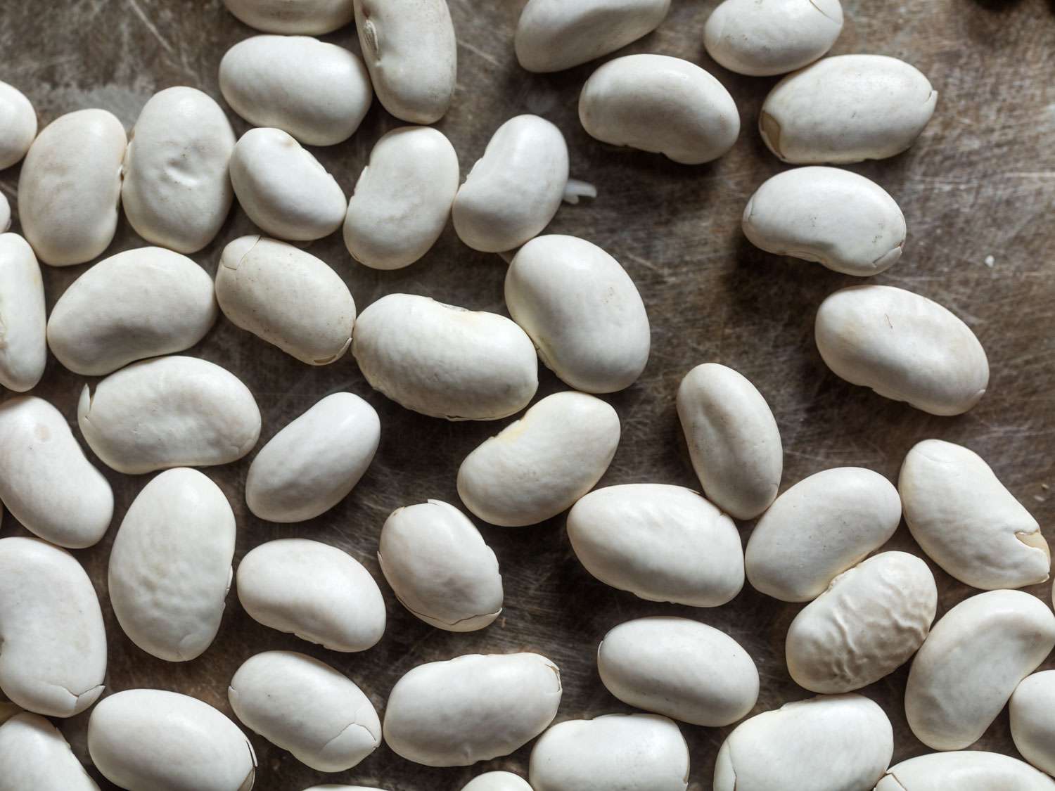 20160707-legumes-great-northern-beans-vicky-wasik-13.jpg
