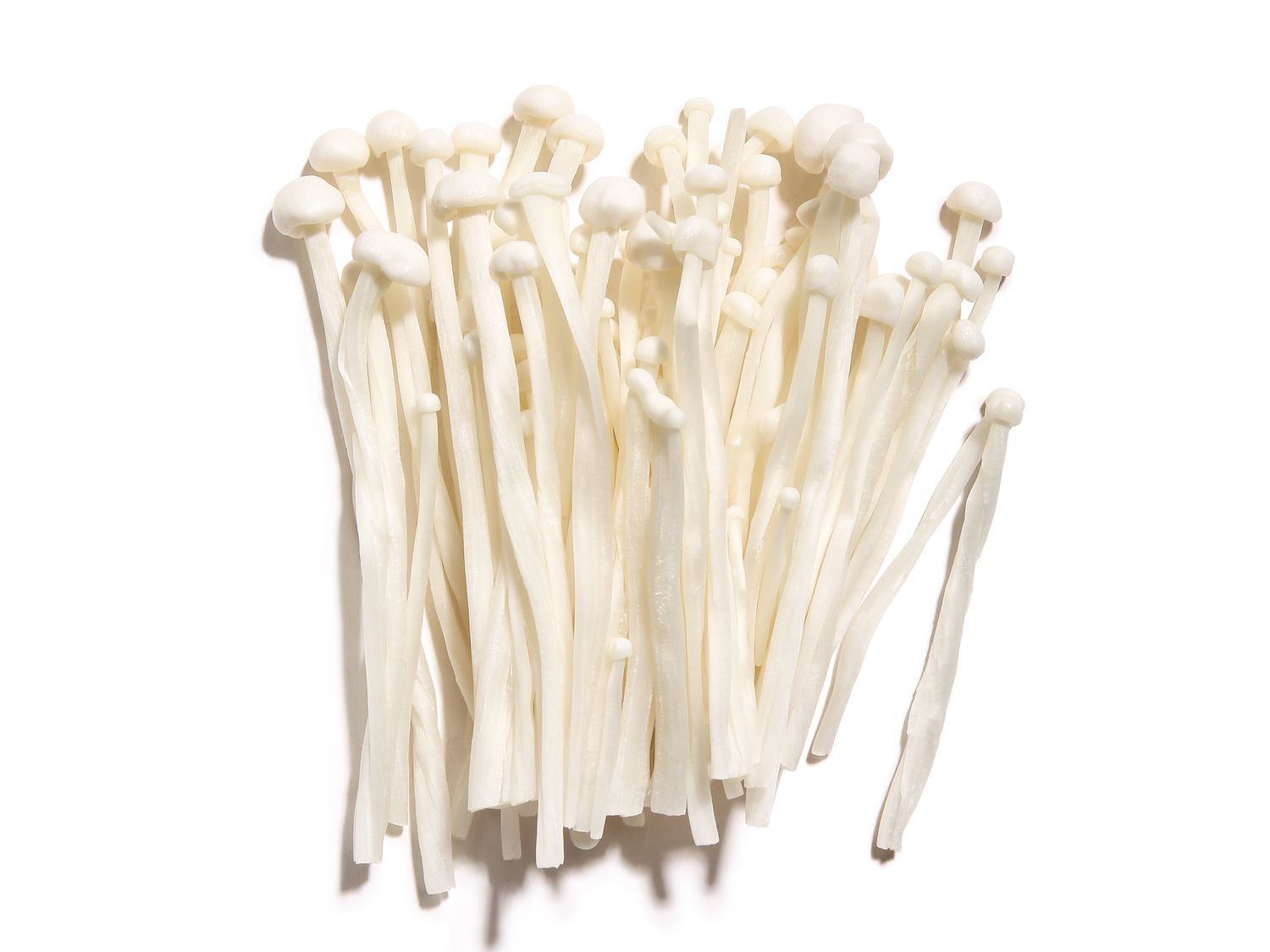 Enoki