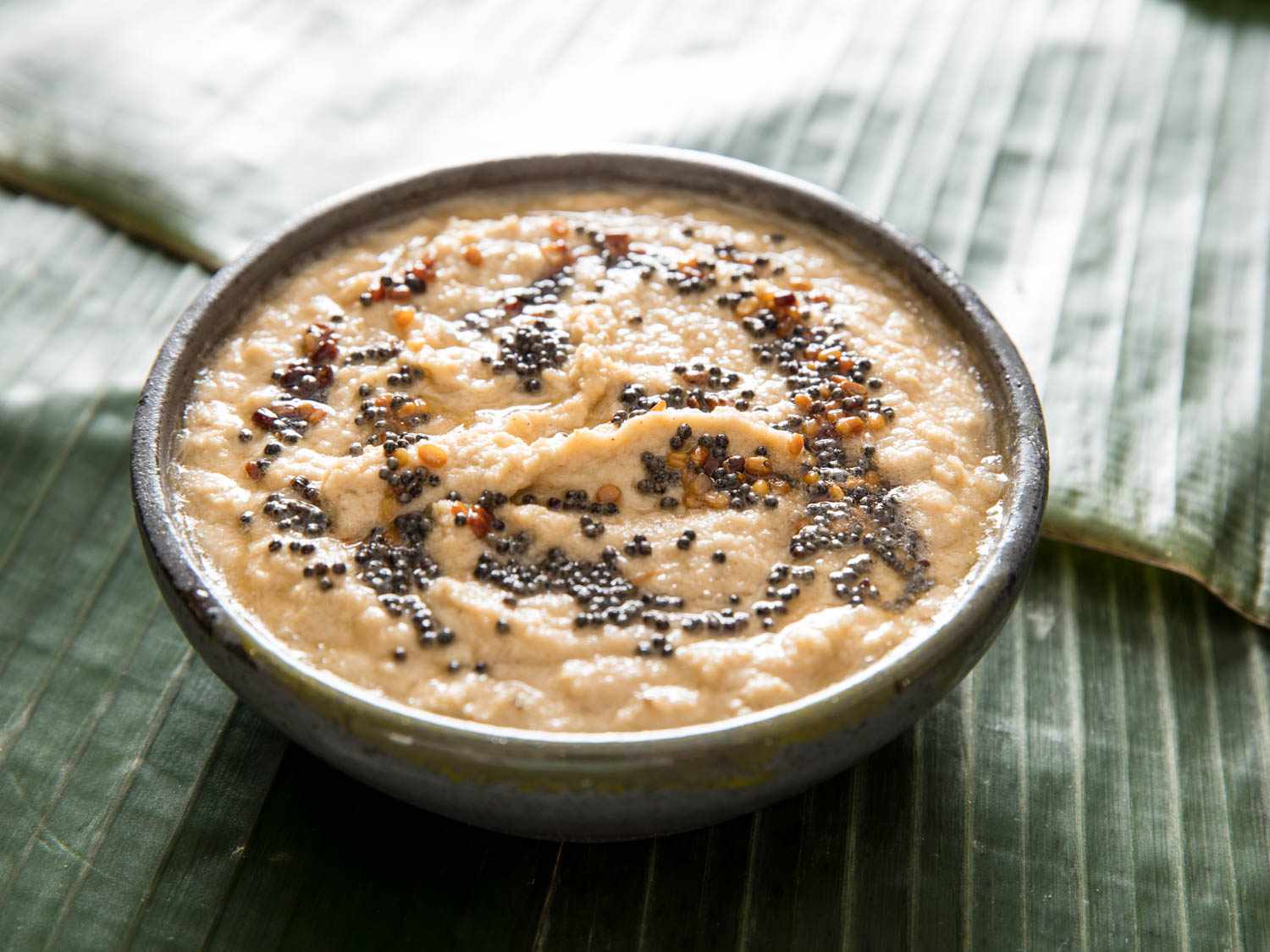 Closeup of a bow of coconut chutney, topped with a tadka of mustard seeds, split lentils, and asafoetida.
