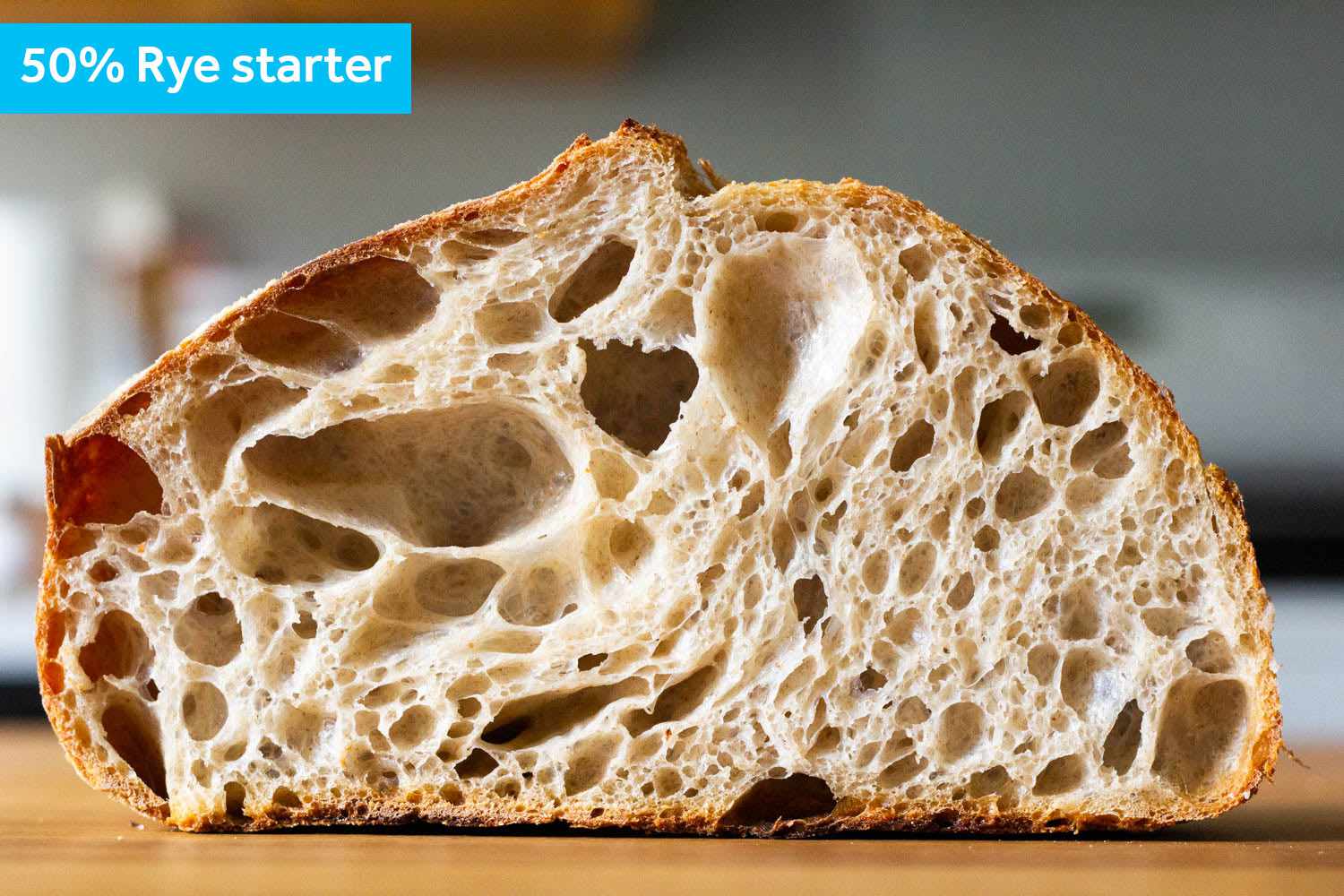 A cross section of the 50/50 rye and all-purpose flour starter loaf.