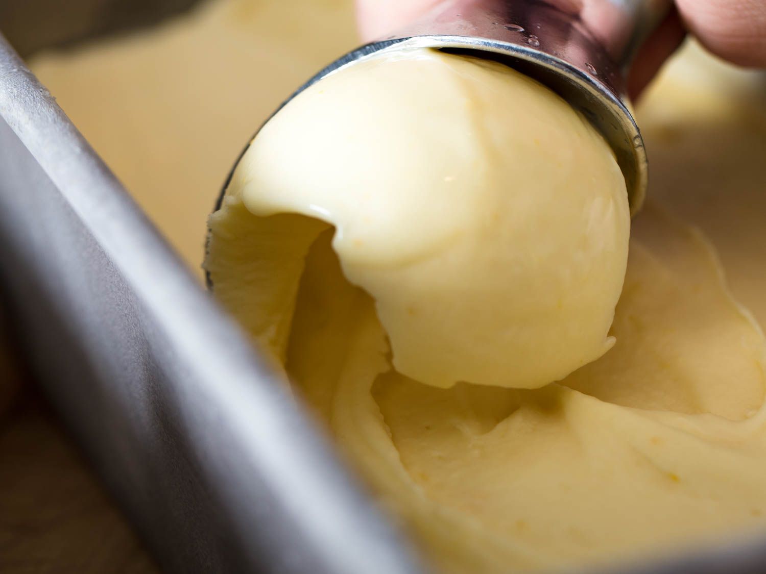 20180129-meyer-lemon-ice-cream-vicky-wasik-12