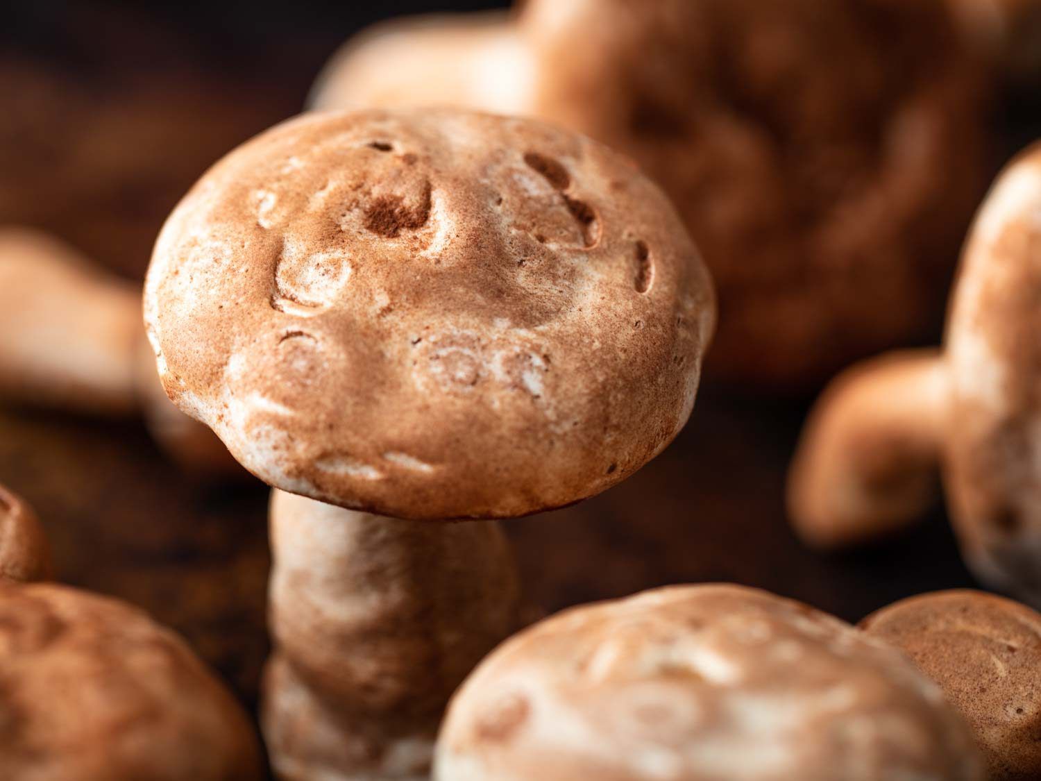 Detail shot of the wrinkles and water marks that make meringue mushrooms look so real.