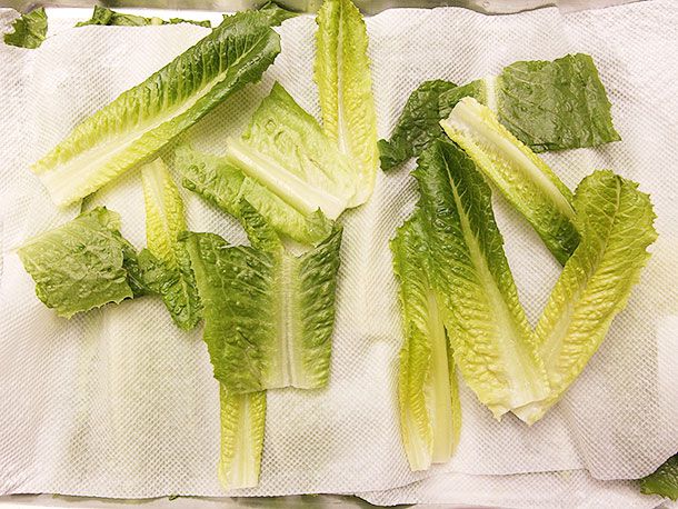Washed and dried loose inner romaine lettuce leaves on paper towels for Caesar salad.
