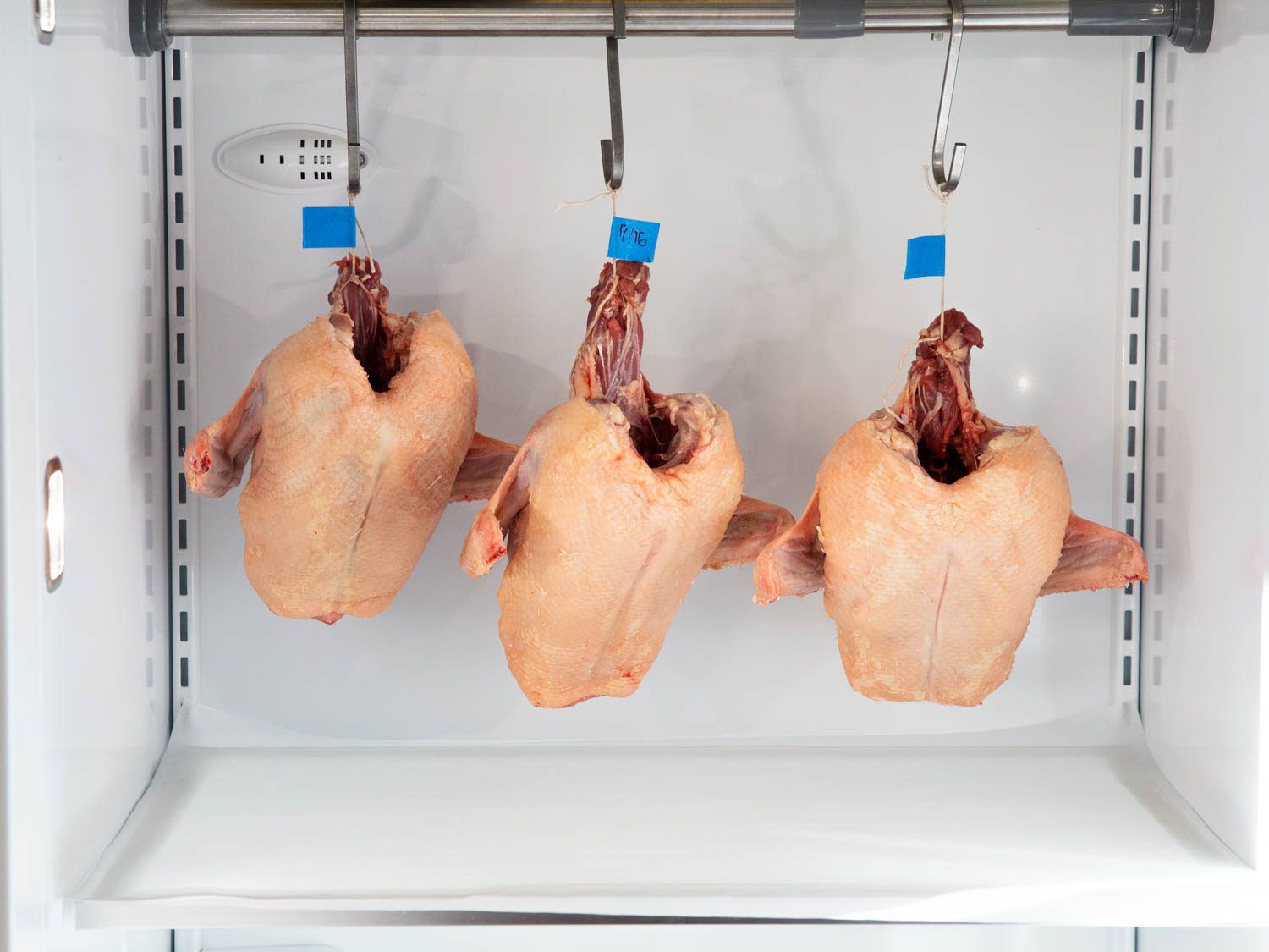 Duck crowns hanging in a fridge on day 1.