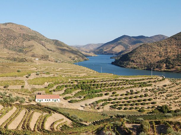 20140617douro-portugal.jpg