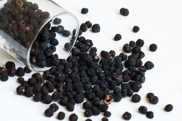 20110707-159530-tasmanian-pepper.jpg