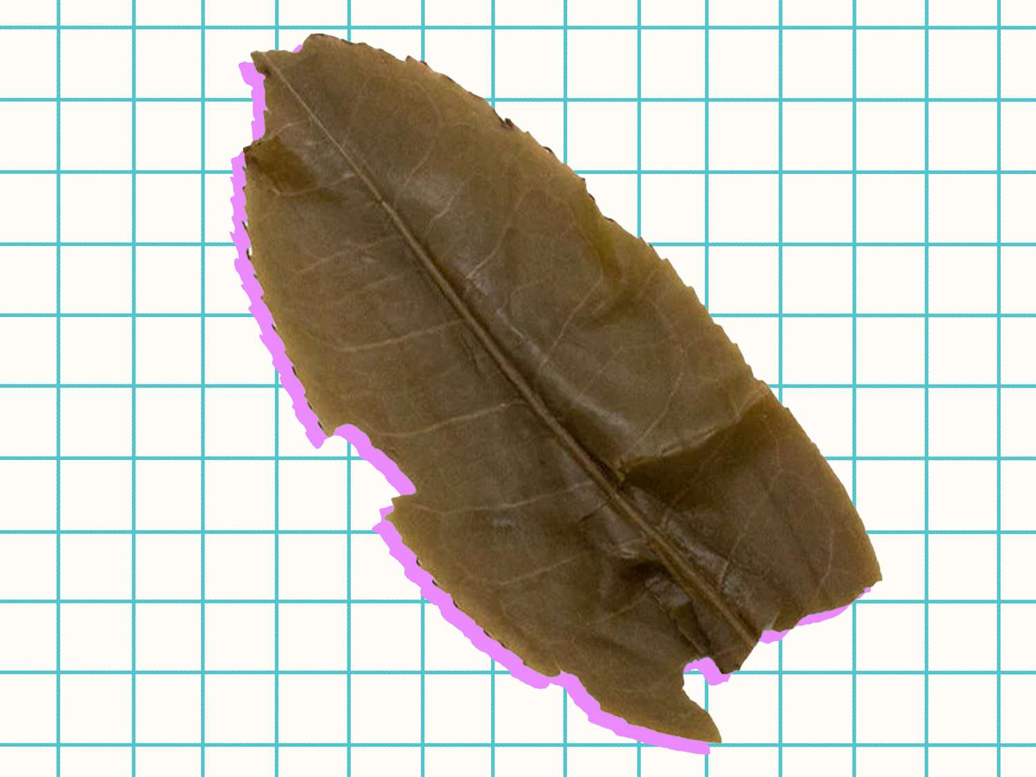 a tea leaf on a grid background
