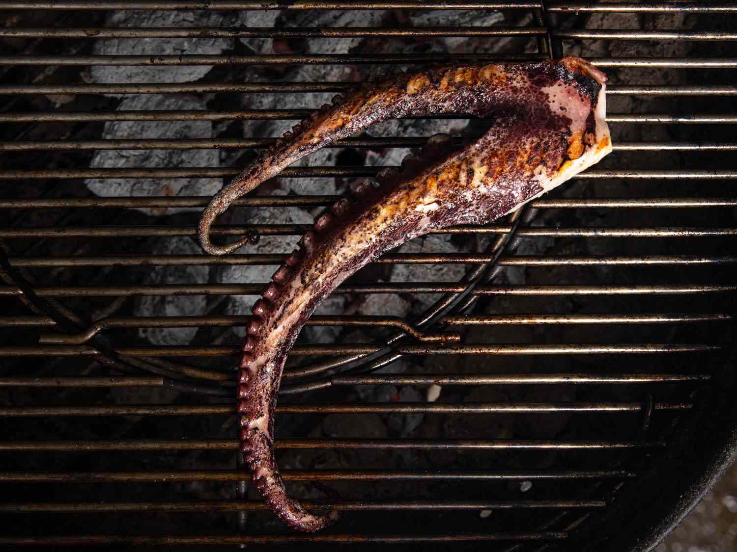 20190620-grilled-octopus-vicky-wasik-7