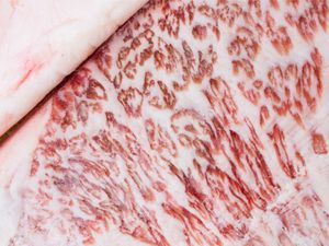 20160718-japanese-wagyu-beef-shutterstock.jpg