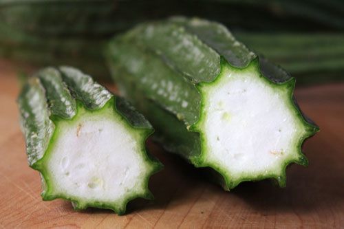 20110408-seriously-asian-luffa-cross-section.jpg