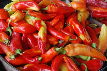 20090728redchiles.jpg