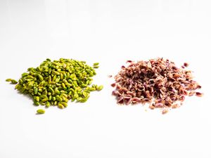 20190520-how-to-blanch-pistachios-vicky-wasik-15