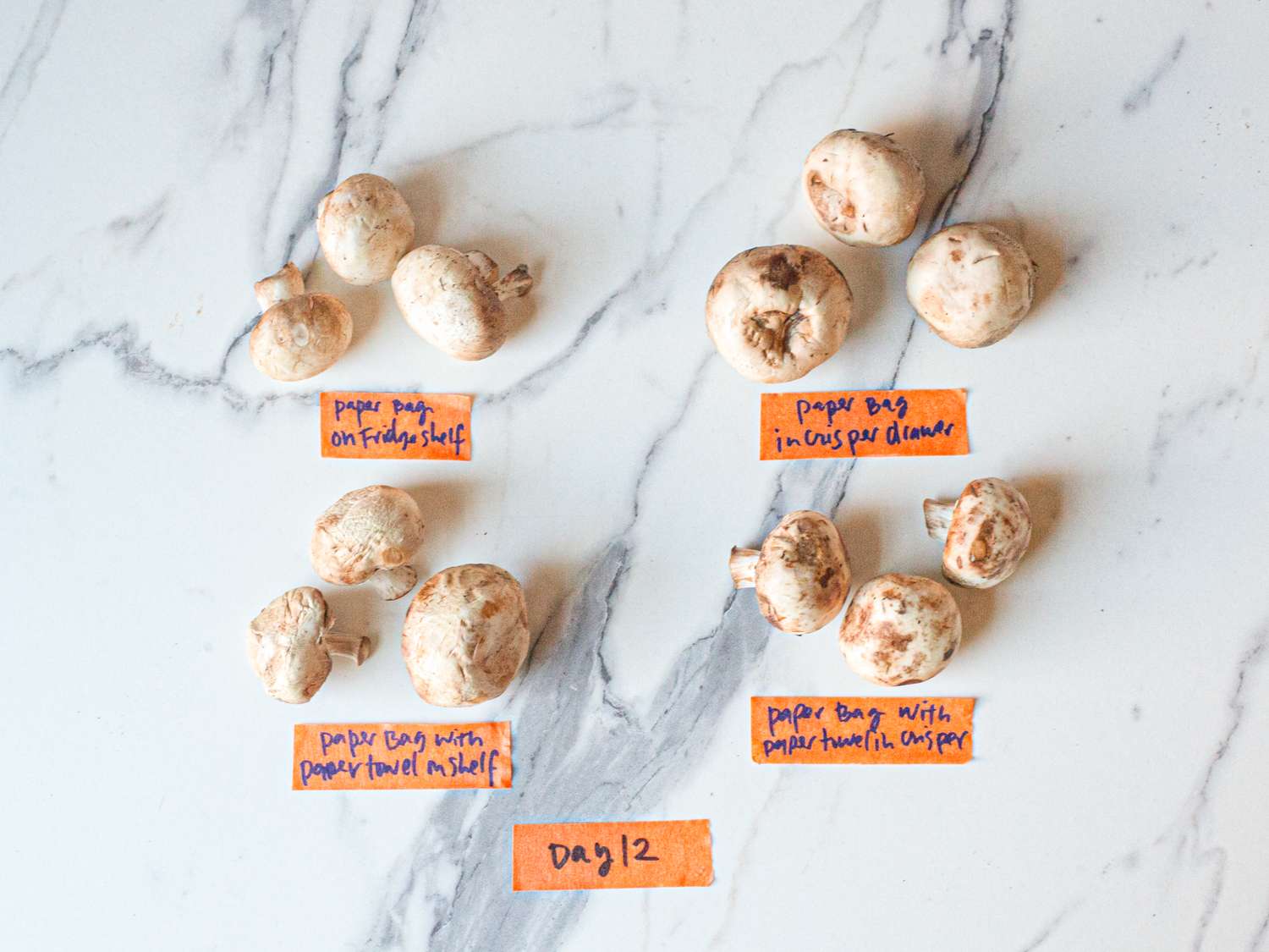 Mushrooms displayed on a marble surface in groups with paper labels showing different storage methods for comparison