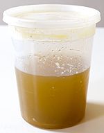 20090121real_chicken_stock.jpg