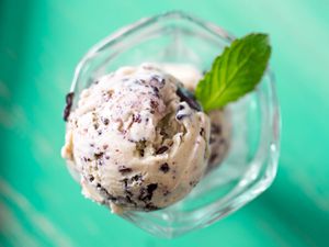A dish with two scoops of homemade mint chocolate chip ice cream. 